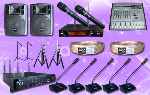 conference wireless auderpro E 11 mic + sound system