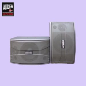 Speaker Pasif AP-08KX