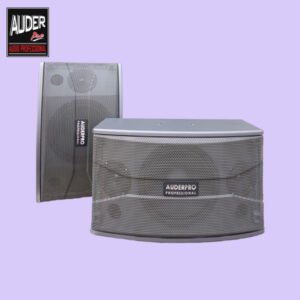 Speaker Pasif AP-10K