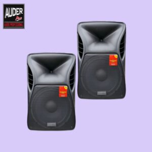 Speaker Pasif AP122X