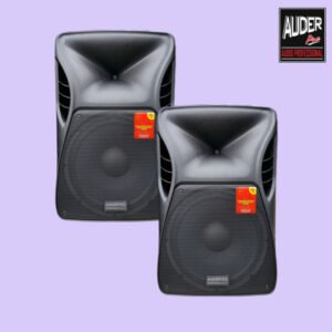 Speaker Pasif AP125X